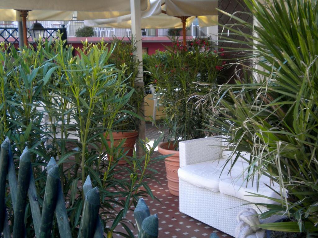 Hotel Nova Dhely Rimini Bagian luar foto
